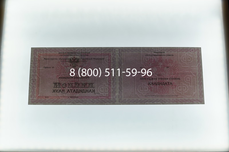 Заказать Диплом кандидата наук 2010 в Ижевске
