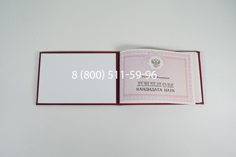 Заказать Диплом кандидата наук 2010 в Ижевске